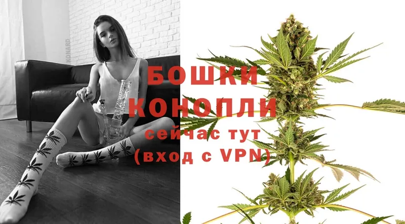 Конопля LSD WEED  купить  цена  mega зеркало  Бахчисарай 